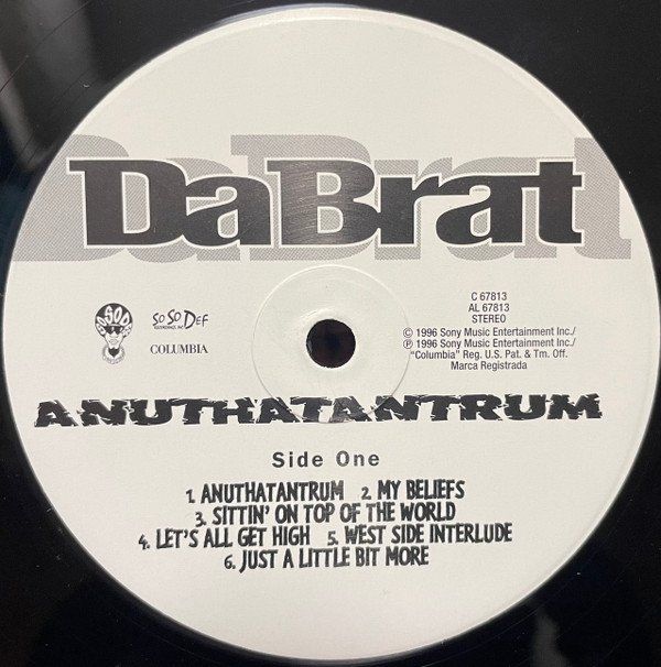 Dischi in vinile: Da Brat ‎– Anuthatantrum (LP) – Usato da Genève venduto da yoww123 2