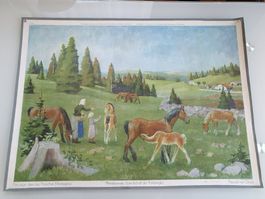 Schulwandbild Nr. 47 Pferdeweide (Landschaft der Freiberge)
