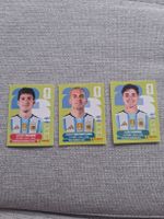 Panini Argentinien Bundle