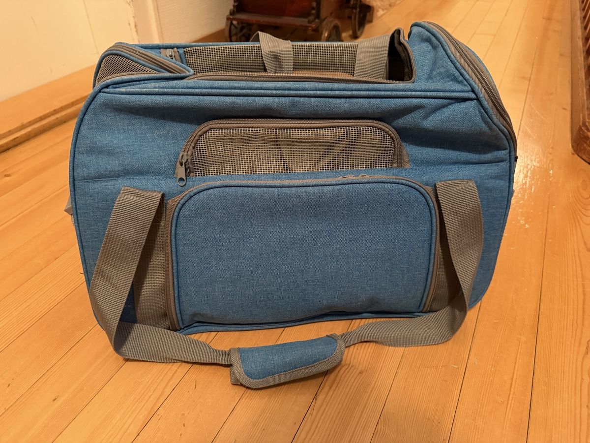 Borse: Gut erhaltene Hundetasche. – Usato da Oberägeri venduto da mic_m272