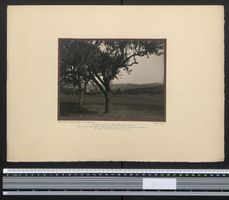 Fotografie Unterbrüden, Panorama am Wei