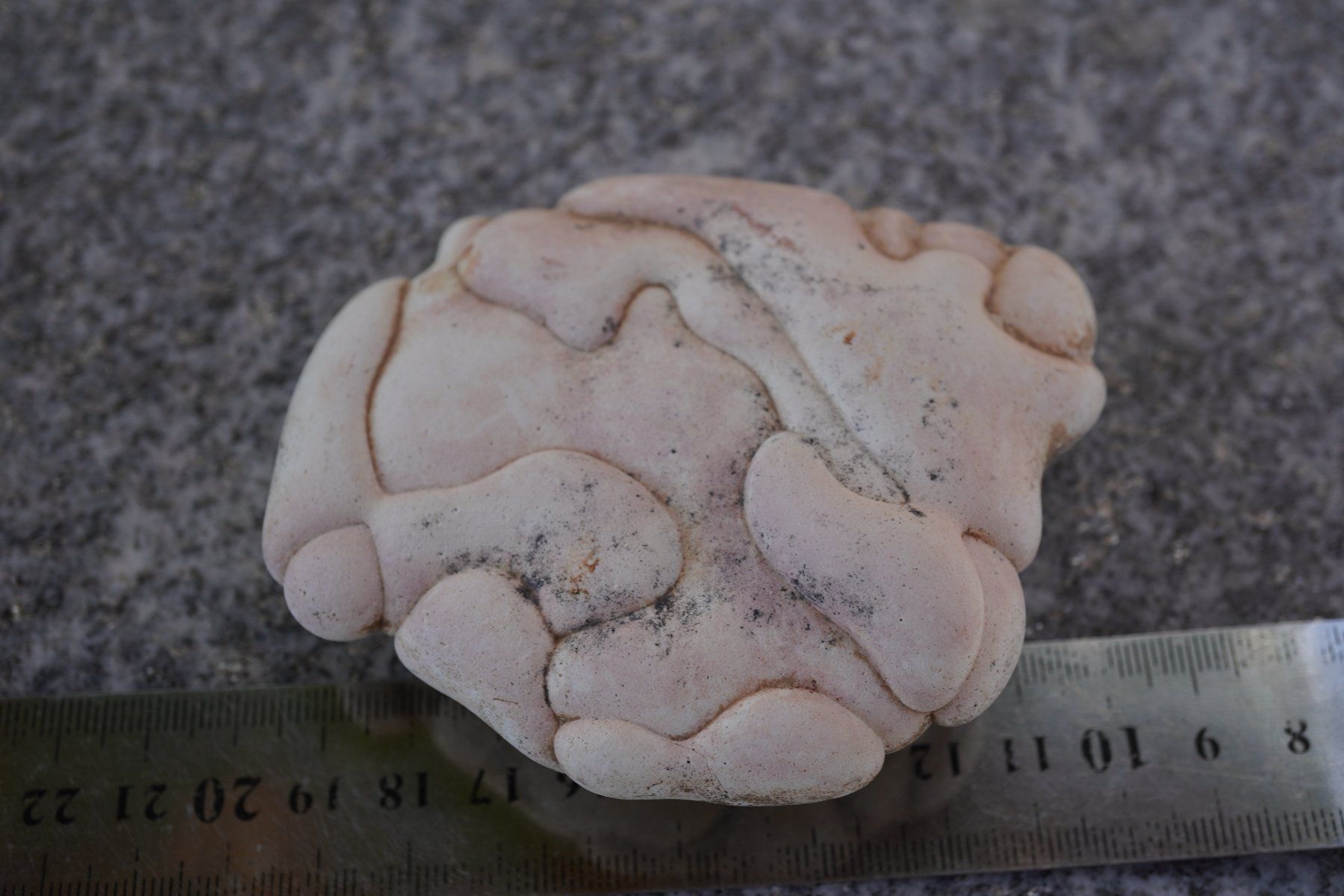 Minéraux & Lithothérapie: Feenstein XL    9cm      WOW    (1) – Neuf avec emballage d'origine à Eschenbach SG par topstone 1