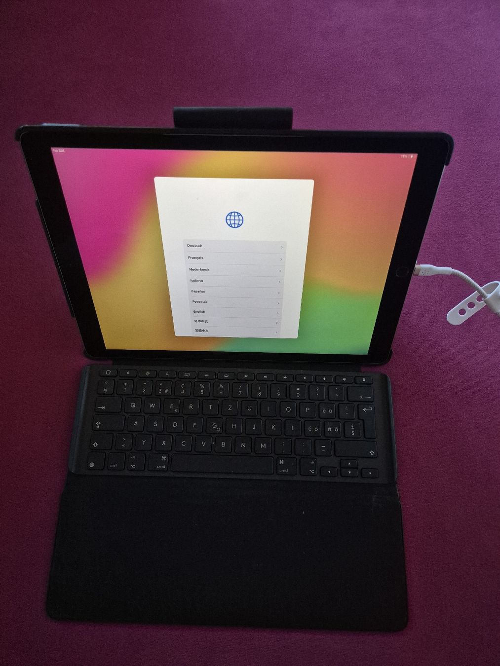 Apple Tablet PC: Ipad pro 12.9 Zoll – Usato da Allschwil venduto da lor_s7nz 1