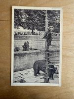 Antike Postkarte, Bärengraben, Bern, gelaufen 1920