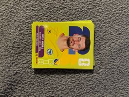 Panini Sticker BIH 2,  Bosnien WM 2026
