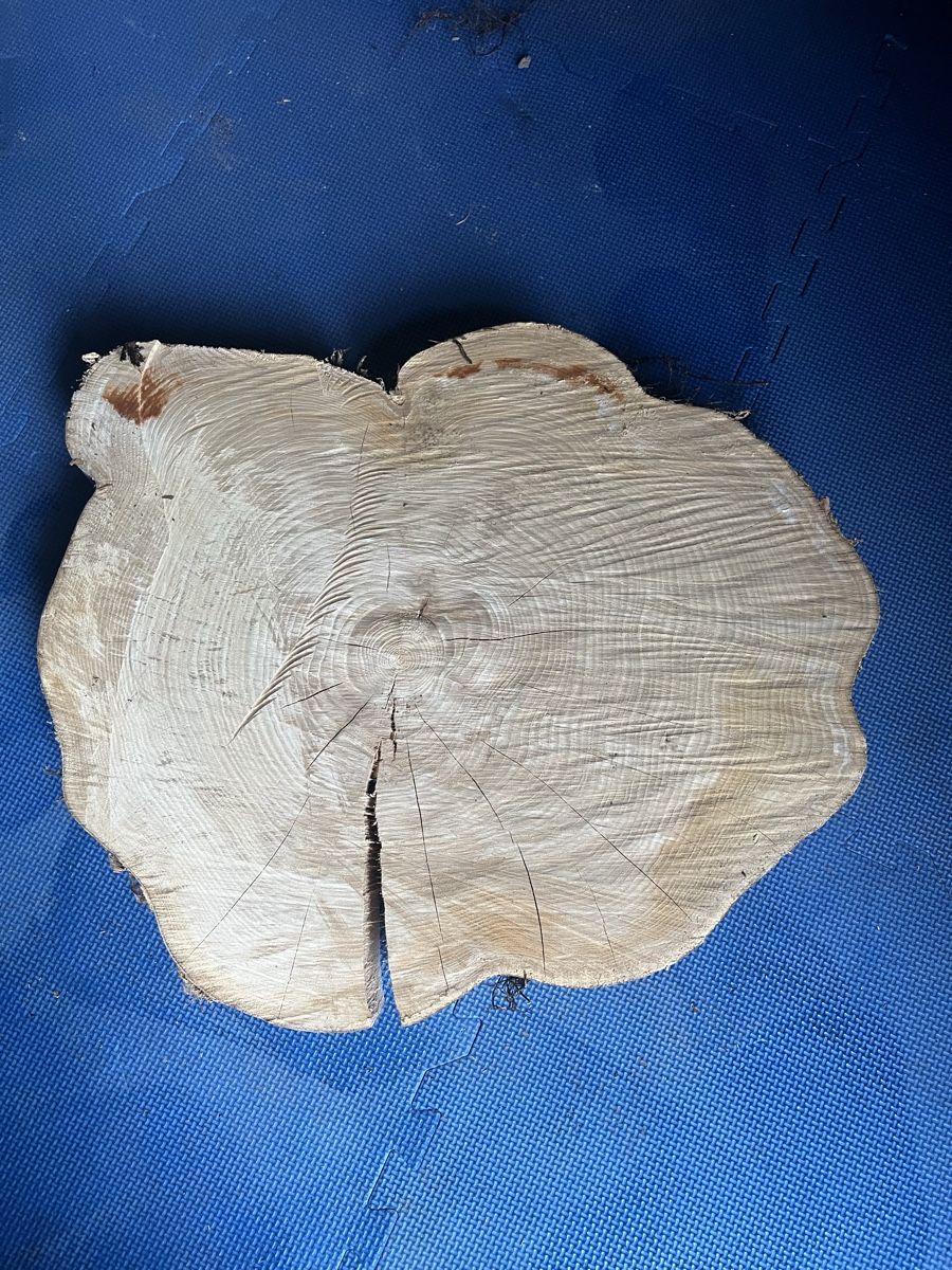 Articoli in legno: Holzscheiben  – Usato da Weissbad venduto da judd11 2