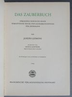 Das Zauberbuch - Streifzüge durch die Magie -