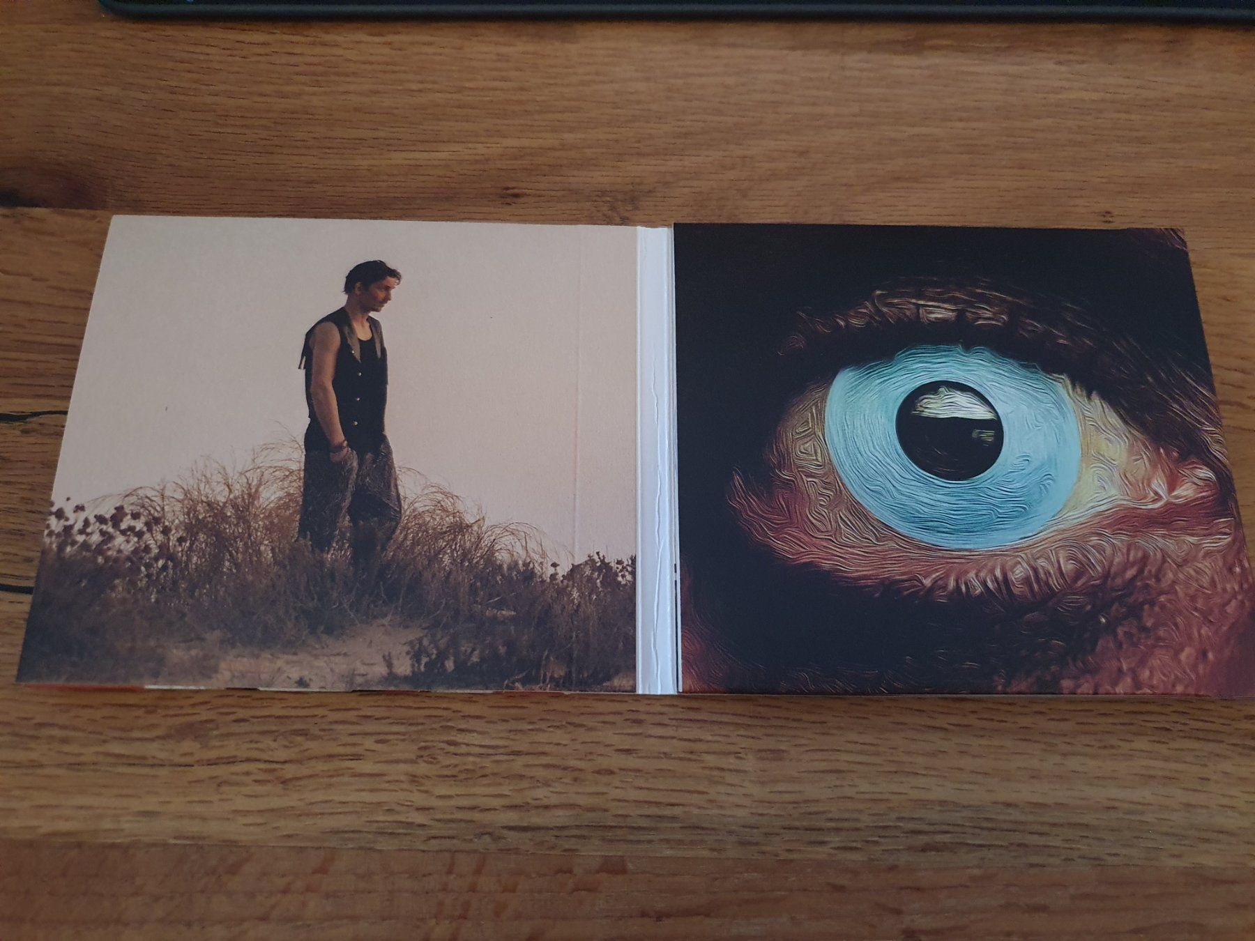 CD: Dirty Sound Magnet - DSM III - CD – Usato da Auenstein venduto da Trilos 2