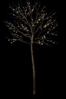2er-Set LED Lichterbäume Birke warmweiss für Innen & Aussen