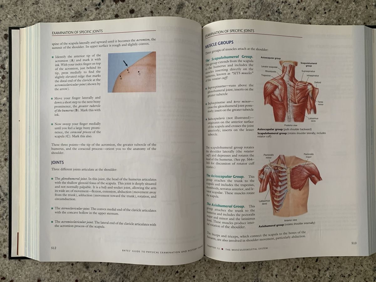 Libri: Bates' Guide to Physical Examination 9th Edition – Usato da Genève venduto da sunsustains 8