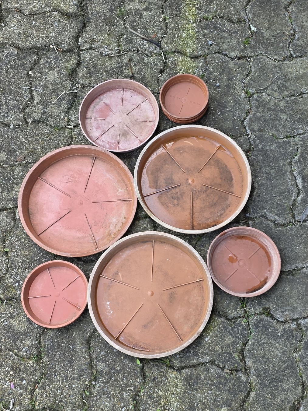 Vasi per fiori: Plastic Saucer Set: 11 pieces. – Usato da Hinwil venduto da Ehretstock8