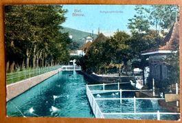 Biel - Bienne - Schwanenkolonie 1913