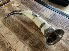 Horn Antik