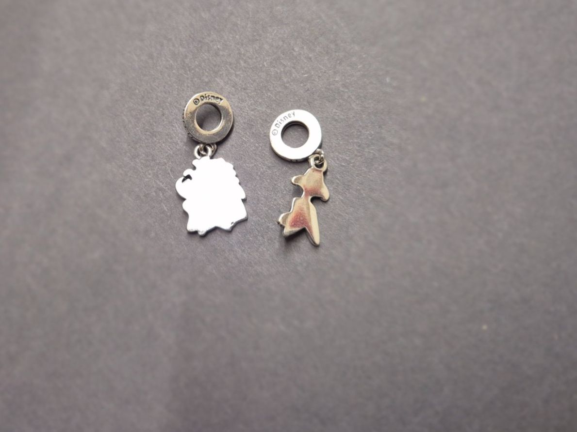 Ciondoli: Charm Hakuna Matata +Garantie – Nuovo (secondo la descrizione) da Rotkreuz venduto da Carbone_Bijou-Shop 4