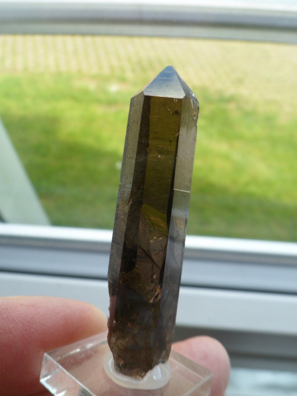 Minerali & Pietre curative: Rauchquarz Schweiz – Usato da Affoltern am Albis venduto da Fossil60 1