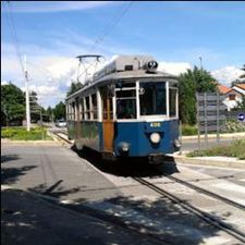 Profile image of dama-8132