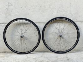 Campagnolo DAYTONA Ambrosio EXCELLENCE LRS TOPZUSTAND 2607