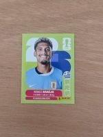 Panini Fifa URU 4