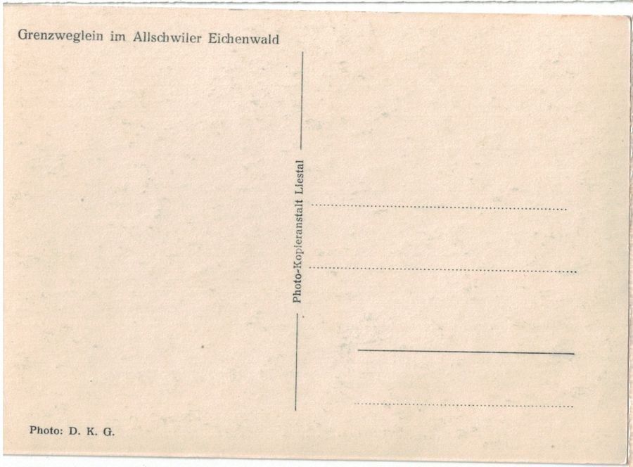 Cartoline postali: Allschwiler Eichenwald, Grenzweglein – Usato da Frauenfeld venduto da POML 1