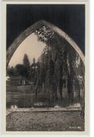 SH 44 Foto-AK Stein a.Rh. Torbogen Rhein