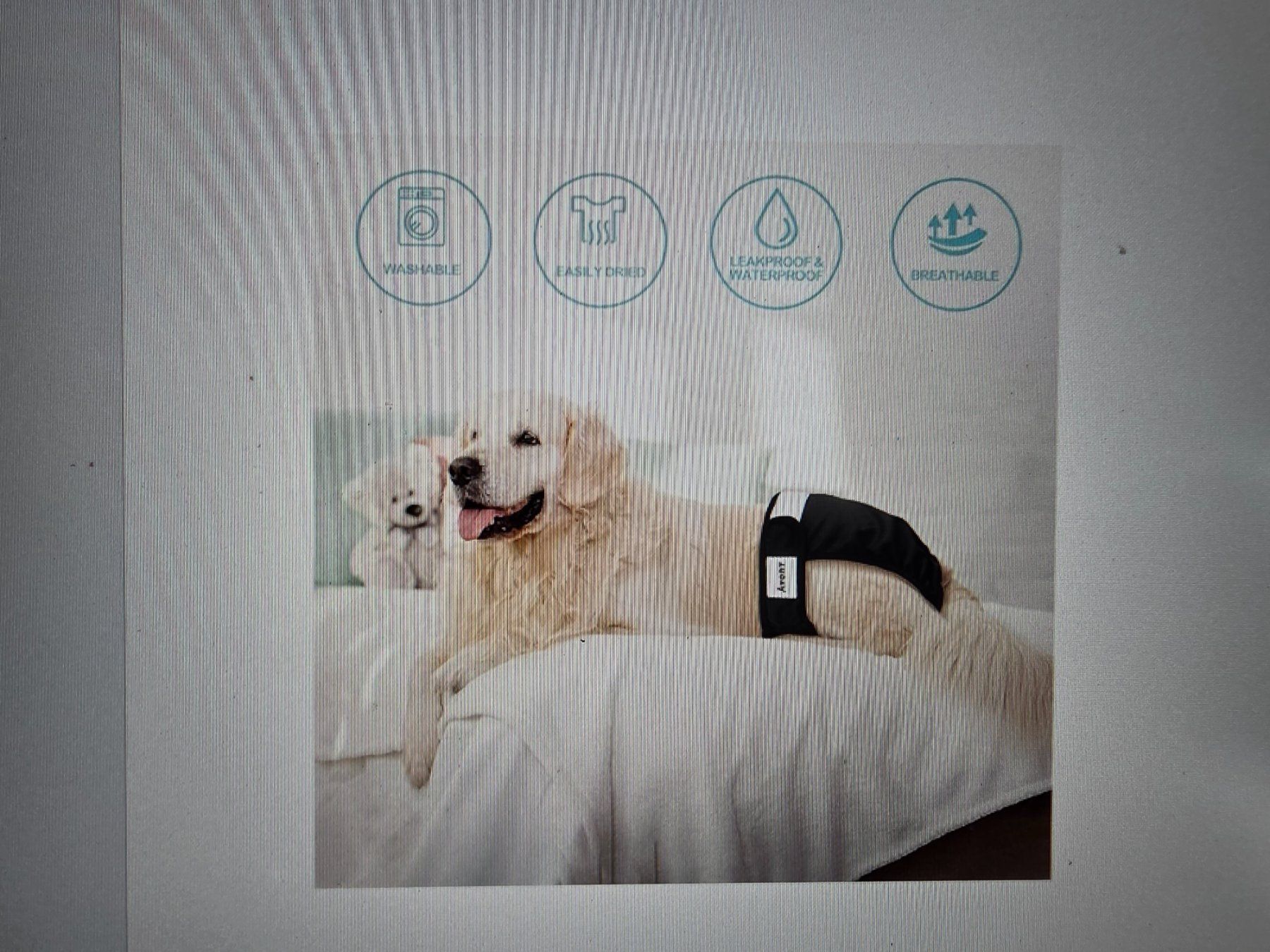 Bacs à couches & couches: Wiederverwendbare Hundewindeln – Neuf (Voir description) à Dübendorf par Neidhart 4