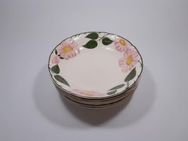 6 Villeroy & Boch Porzellan Suppenteller - Serie Wild Rose