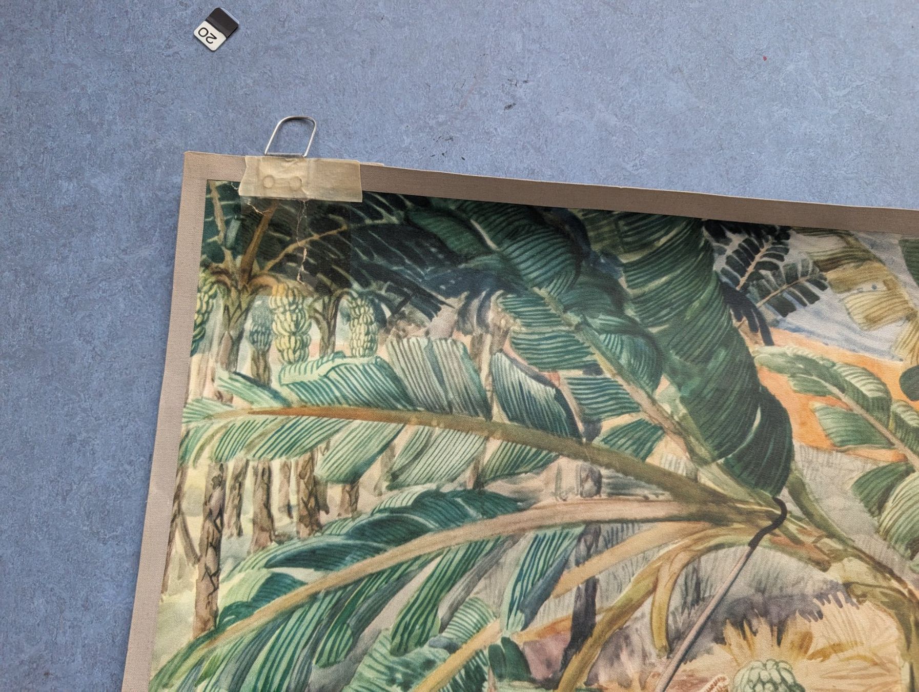 Foto & Immagini: Schulwandbild - Bananenplantage – Usato da Luzern venduto da JenKu 1