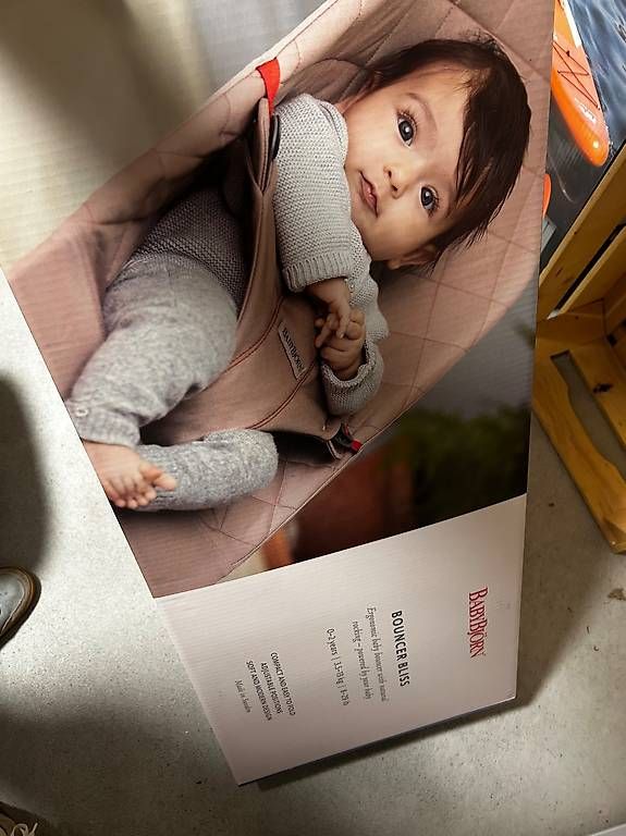 Wippen & Schaukeln: Babybjörn Kinderwippe  – Gebraucht aus Solothurn von nic_p5qz 3