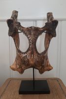 Alte Dayak Knochenmaske Sumatra