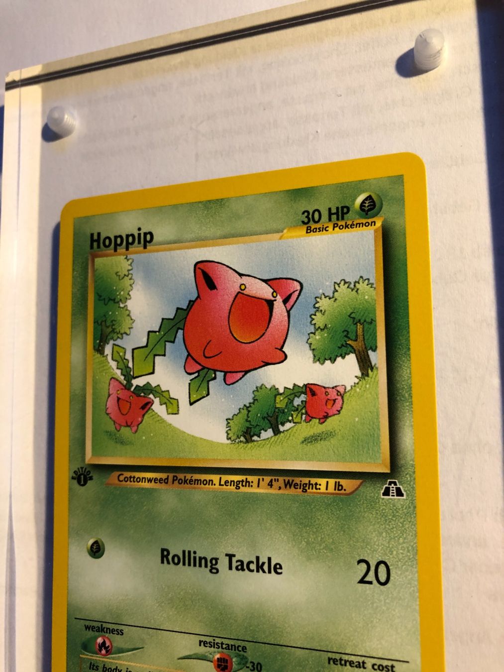 Sammelbilder & Trading cards: Hoppip 1st Neo Discovery - MINT - ab 1.- – Gebraucht aus Giubiasco von dan_pr8b 3