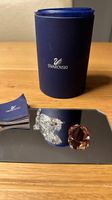 Swarovski Kristallfigur Chamäleon mit Originalverpackung