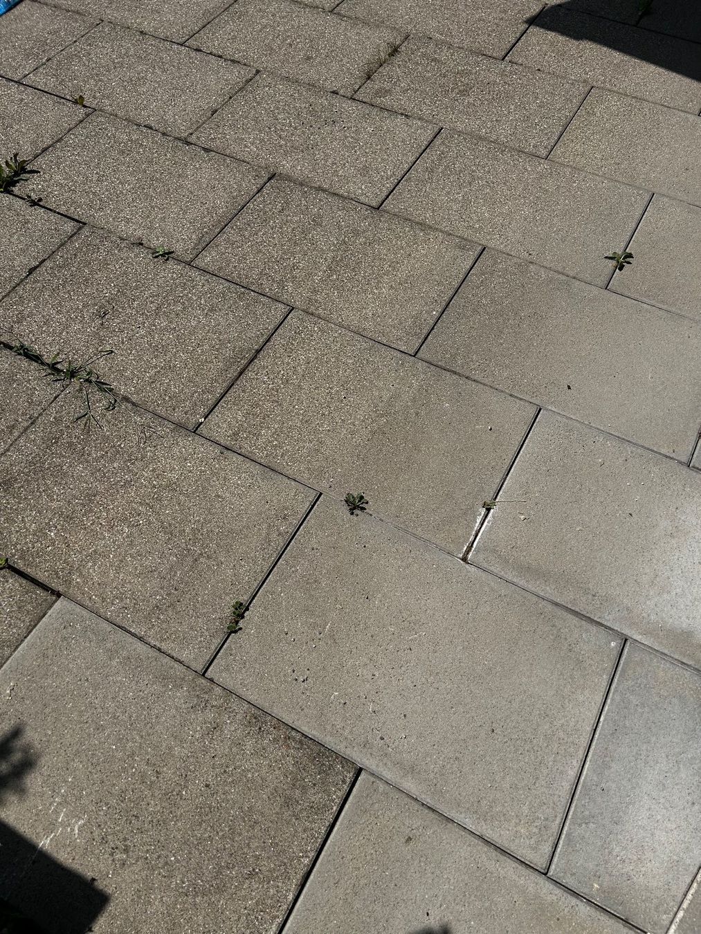 Revêtements de sol: Gartenplatten – D'occasion à Gerlikon par Subidu7