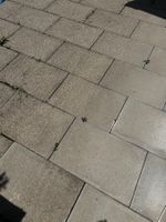 Gartenplatten