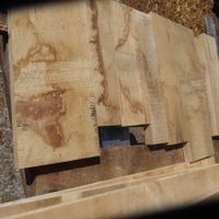 Holzbretter Eiche. 3 cm Siehe Fotos. Neuwertig.