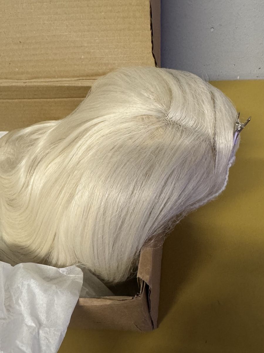 Parrucche: Perücke blond neu – Nuovo (secondo la descrizione) da Schlieren venduto da Freundlich02 3