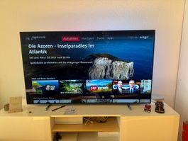 Phillips OLED 55 Zoll TV