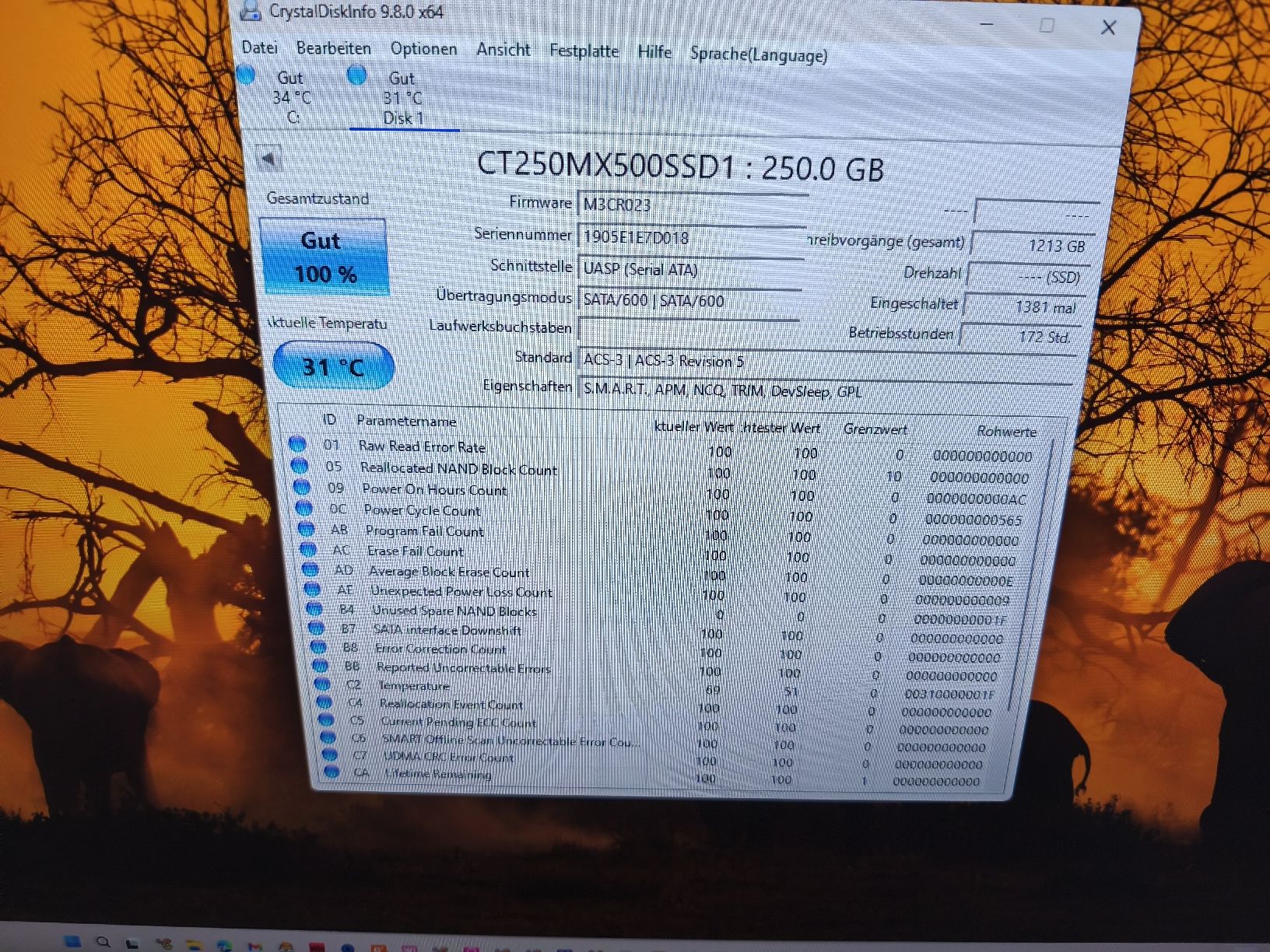 Crucial Disques durs: 2 Festplatten 250Gb – D'occasion à Burgdorf par weggu.666 1