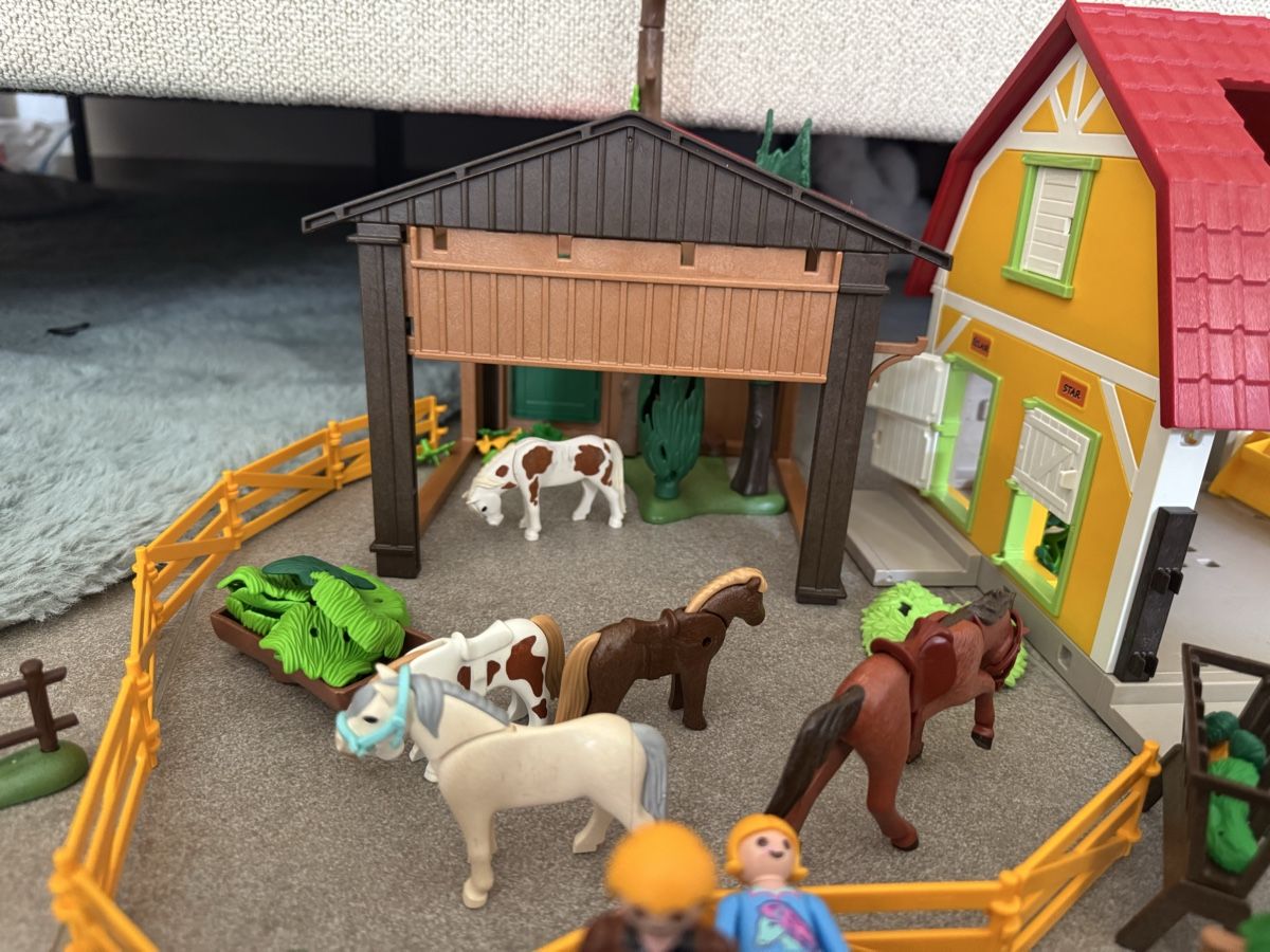 Playmobil Spielzeuge: Playmobil – Gebraucht aus zürich von mane02 4