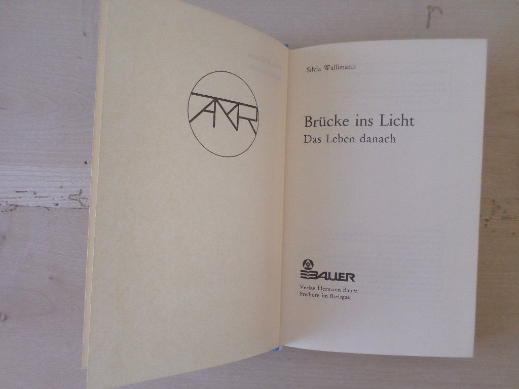 Libri: Brücke ins Licht / Silvia Wallimann – Usato da Liestal venduto da man_7bt6 1