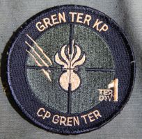 Gren Ter Kp Ter Div 1, Grenadier Kp