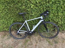 Rennrad Beginner