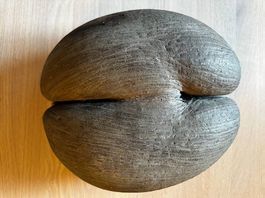 COCO DE MER