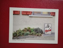 Zürich Wirtschaft Ziegelhütte Werbung Rössli Zigarren