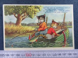 KATZEN AK ALT
