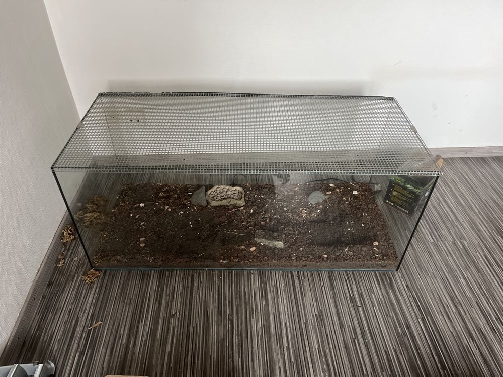 Elegantes Terrarium Mit Heizung Bild