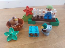 LEGO Duplo 10581 Entenfütterung (Tiere, Enten)