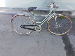 Vintage Vélo Renard