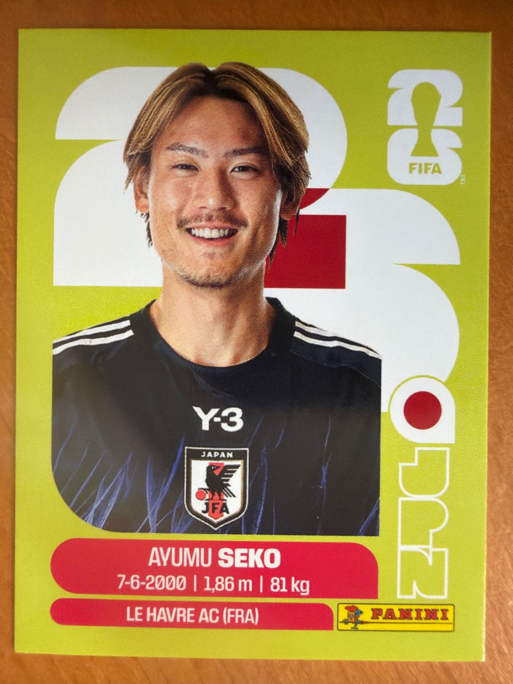 Panini Cartes à collectionner: Panini JPN4 – Neuf (Voir description) à Susten par Rechnun
