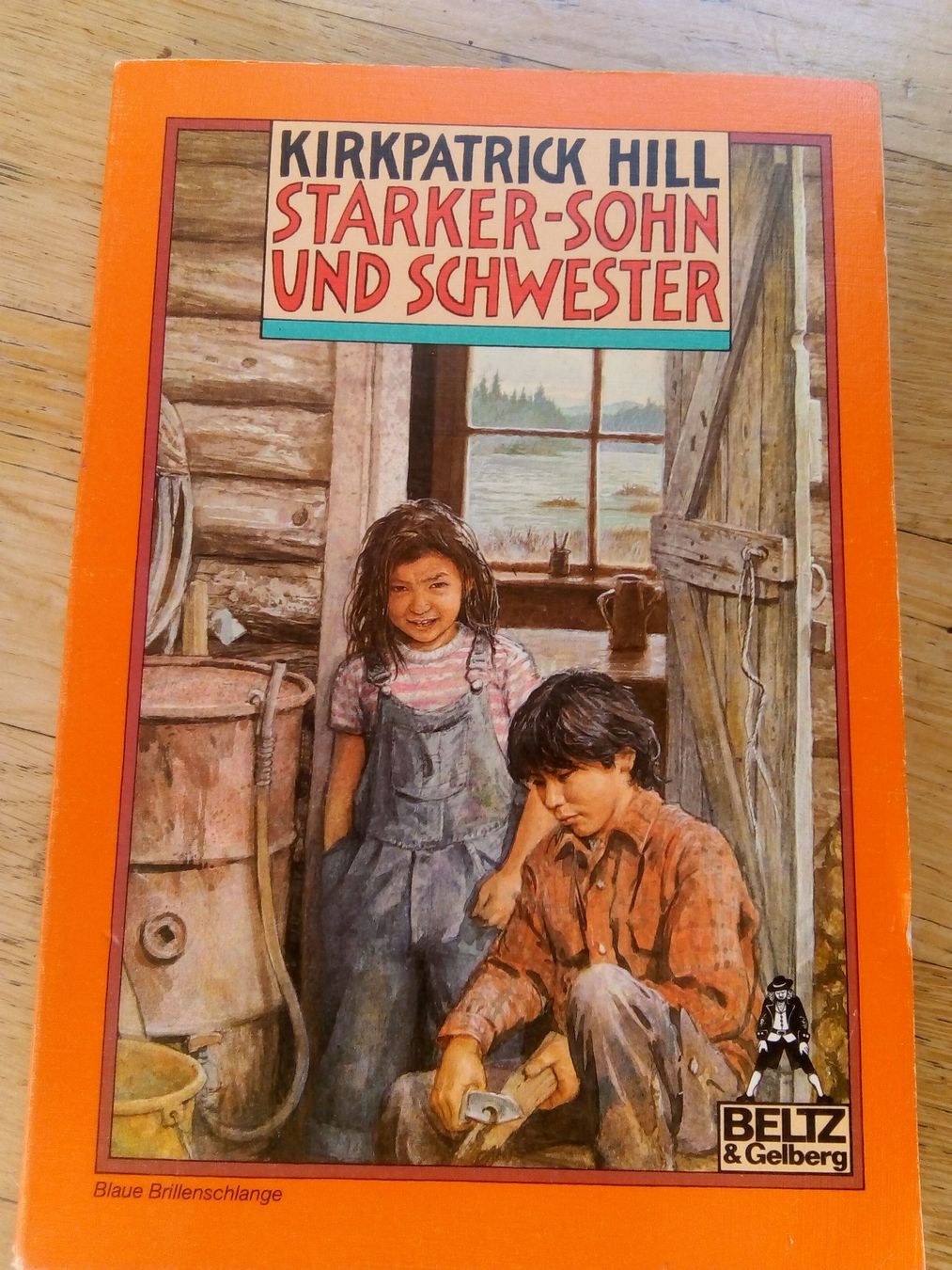 Libri: Kirkpatrick Hill: Indianerwinter + Starker-Sohn & Schwester – Usato da St.Gallen venduto da elk2022 1