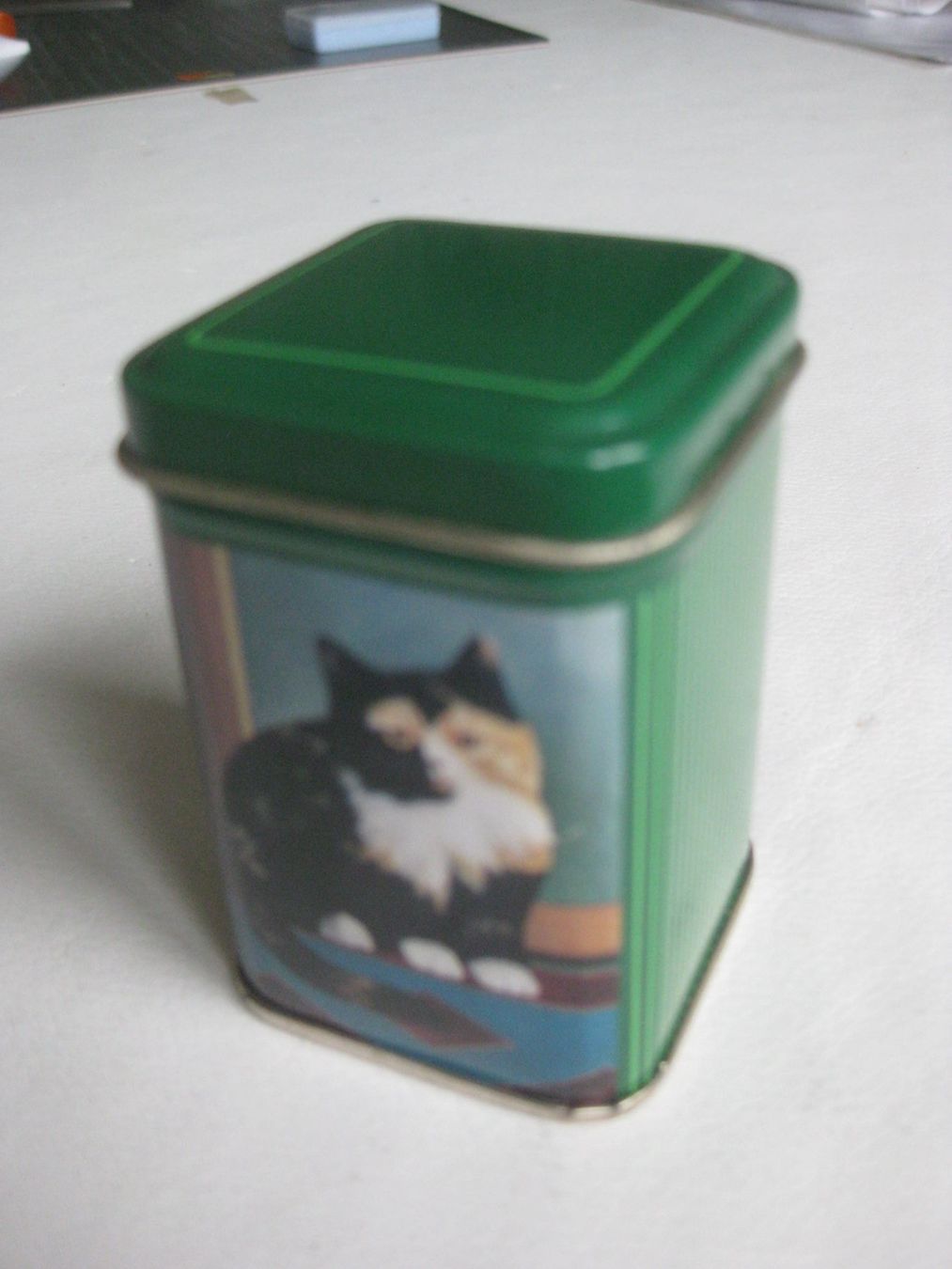Altro in Decorazioni & Accessori: Blechdose mit Katze – Usato da Kriens venduto da Kraeutergarten 1